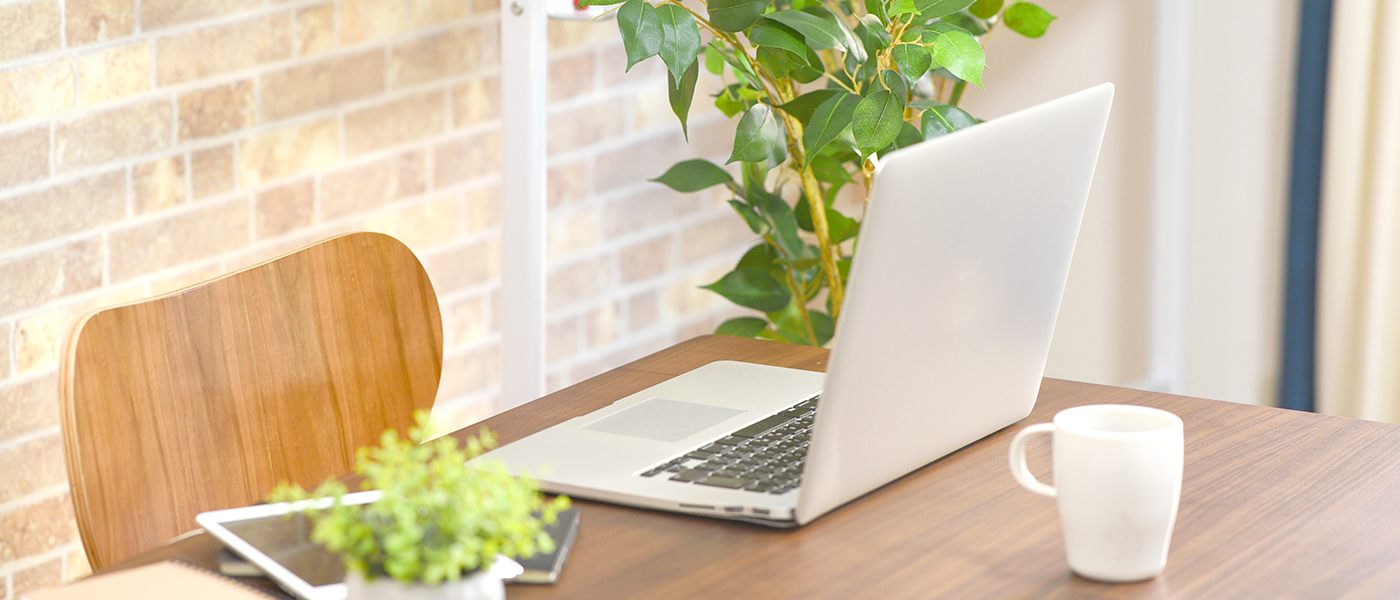 緑の多いオフィスの写真